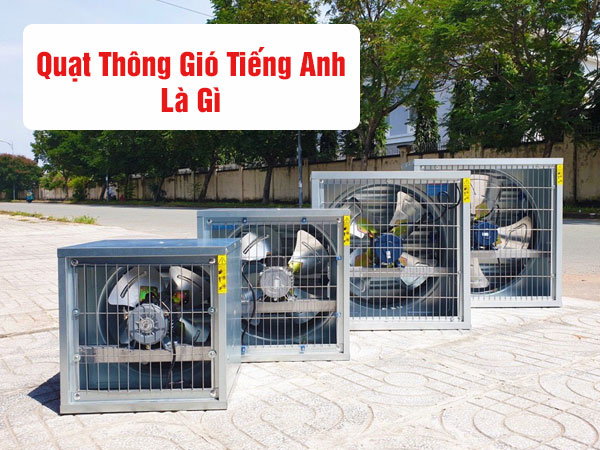 Luồng Email Tiếng Anh Là Gì? Tìm Hiểu Từ A Đến Z Về Luồng Email Tiếng Anh